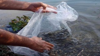 Mut Göksu Nehrine 8 bin balık bırakıldı
