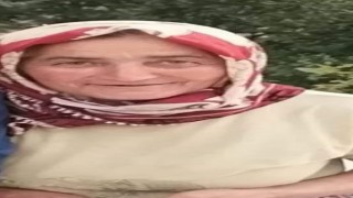 Öküzün çiftesi öldürdü