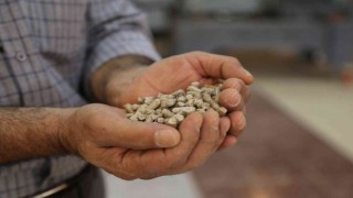 Orman ürünleri ziyan olmasın diye pelet fabrikası kurdu
