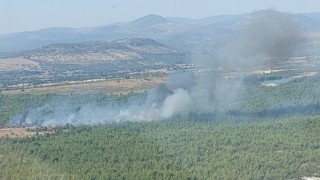Ormanlık alanda çıkan yangın kontrol altına alındı