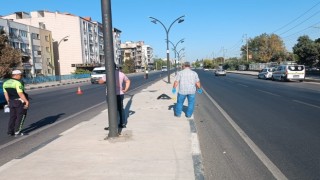 Otomobilin çarptığı 14 yaşındaki kız hayatını kaybetti