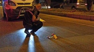 Otomobilin çarptığı 2 kardeş ağır yaralandı