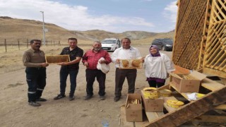 Özalpte bal sağımı