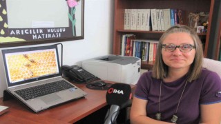 (ÖZEL) Türkiyede ilk kez arıların davranışı araştırıldı