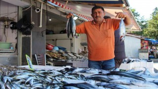 Palamut yüz güldürüyor