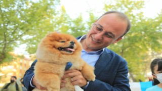 Pamukkalenin en özel festivali Patifest bu pazar gerçekleşecek