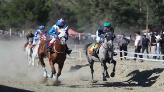 Pırlanta Pirinç Festivalinde at yarışları nefes kesti