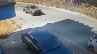 Resmi plakalı araçla sokak köpeğini ezen iki memur görevden uzaklaştırıldı