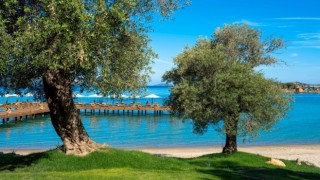 Rixos Olive Fest için geri sayım başladı
