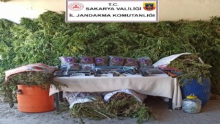 Sakaryada 70 kilo esrar ele geçirildi: 3 gözaltı