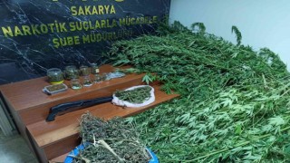 Sakaryada uyuşturucu operasyonu: 4 tutuklama