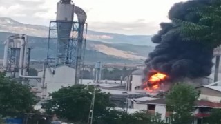 Samsunda orman ürünleri fabrikasında yangın