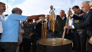 Şanlıurfada bağ bozumu festivali