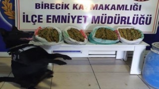 Şanlıurfada narkotik köpeği Kyra uyuşturucuya geçit vermedi