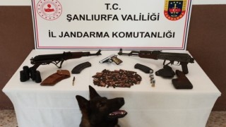 Şanlıurfada silah kaçakçılığı operasyonu: 2 gözaltı