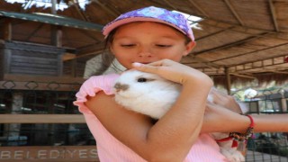 Savaş mağduru Ukraynalı çocukların hayvanat bahçesi keyfi
