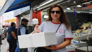 Şehir dışından Samsuna gelen misafirler kasa kasa balıkla dönüyor