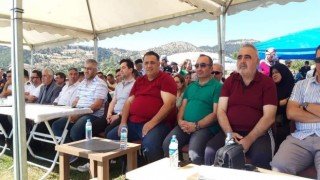 Şeyh köyünde armut ve çilek festivali