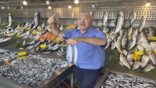 Sezon açıldı, tezgahlar balıkla dolmaya başladı