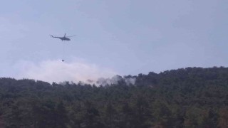 Şimşekler orman yangını çıkardı