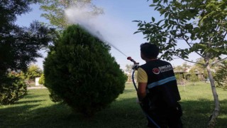 Sincan Belediyesi ilaçlama ve dezenfekte çalışmalarına devam ediyor