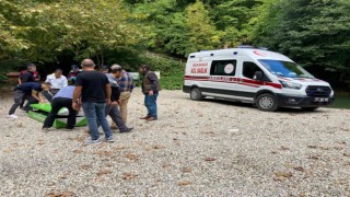 Sinop Erfelek Şelalelerinde ağaç devrildi: 2 ölü, 1 yaralı
