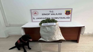 Sinopta 2,68 kilo esrar ele geçti: 1 gözaltı