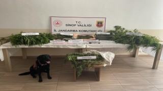 Sinopta uyuşturucu operasyonu