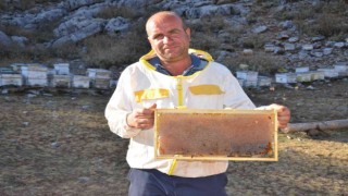 Siparişler kovandan çıkmadan alınıyor, kilogramı 300 TLden satılıyor