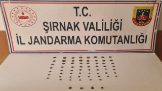 Şırnakta 65 parça tarihi obje ele geçirildi