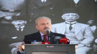 Sivas Kongresinin 103. yıl dönümü çeşitli etkinliklerle kutlandı