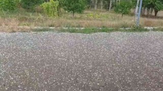 Sivasta dolu yağışı etkili oldu