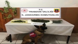 Sobaya saklanan uyuşturucuyu ‘Yatkın buldu
