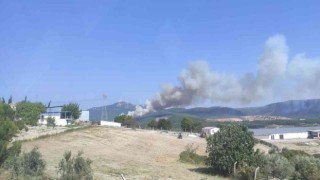 Somada farklı noktada ikinci orman yangını