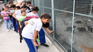 Sporcu çocuklar hayvanlarla buluştu