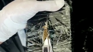Şüphe üzerine durdurulan minibüste 12 kilo esrar ele geçirildi