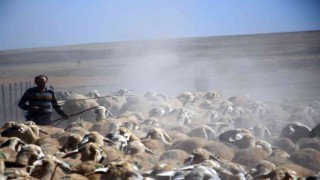 Suya ulaşmak için 15 kilometrelik tozlu yolculuk