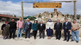 Tarihi Maltaş Tapınağında restorasyon çalışmaları başlıyor