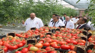Tarım Kredi kurmayları termal seralara hayran kaldı
