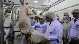 Tarım ve Orman Bakanı Kirişcinin Van temasları