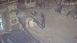 Tartıştığı arkadaşına sinirlenip aynı ismi taşıyan köpeğe kurşun yağdıran adam tutuklandı