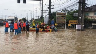 Taylandda tavuk çiftliğini su bastı: 140 bin tavuk telef oldu