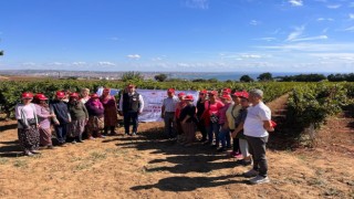 “Tekirdağ bağları kadın eliyle güzelleşiyor” projesi tamamlandı