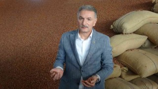 TMO Genel Müdürü Güldaldan fındıkta serbest piyasa açıklaması