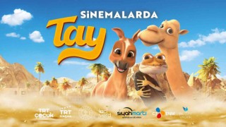 TRT Ortak yapımı “TAY” en çok izlenen film oldu