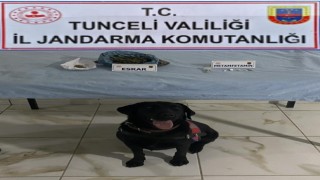 Tuncelide uyuşturucudan 2 gözaltı