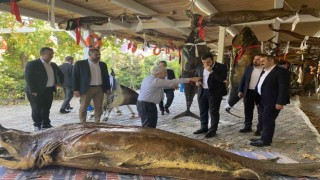 Türkiye Deniz Canlıları Müzesine anlamlı ziyaret