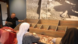 Türkiyede bir ilk: Fındık müzesi