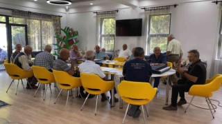 Ulu çınarlar Çanakkaleyi gezecek