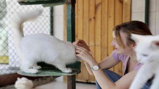 Uluslararası ilgi Endemik Vadide